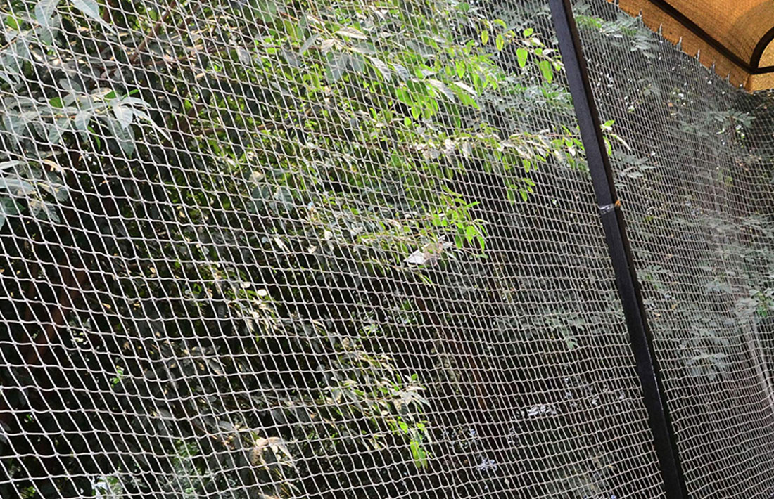 Anti Bird Net